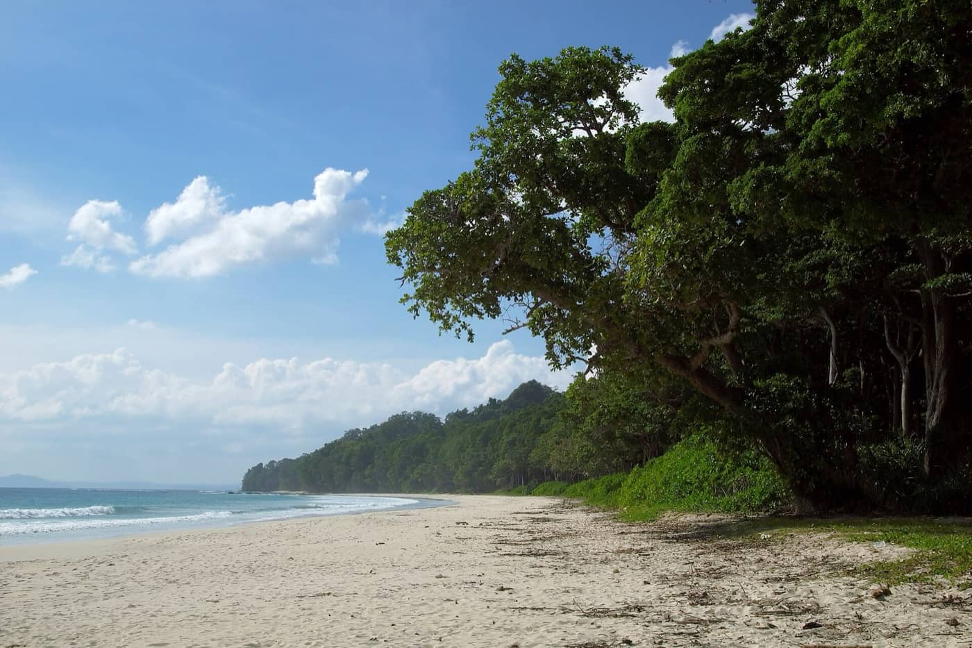 Andaman Dive Week — Andaman Islands, Andaman and Nicobar Islands