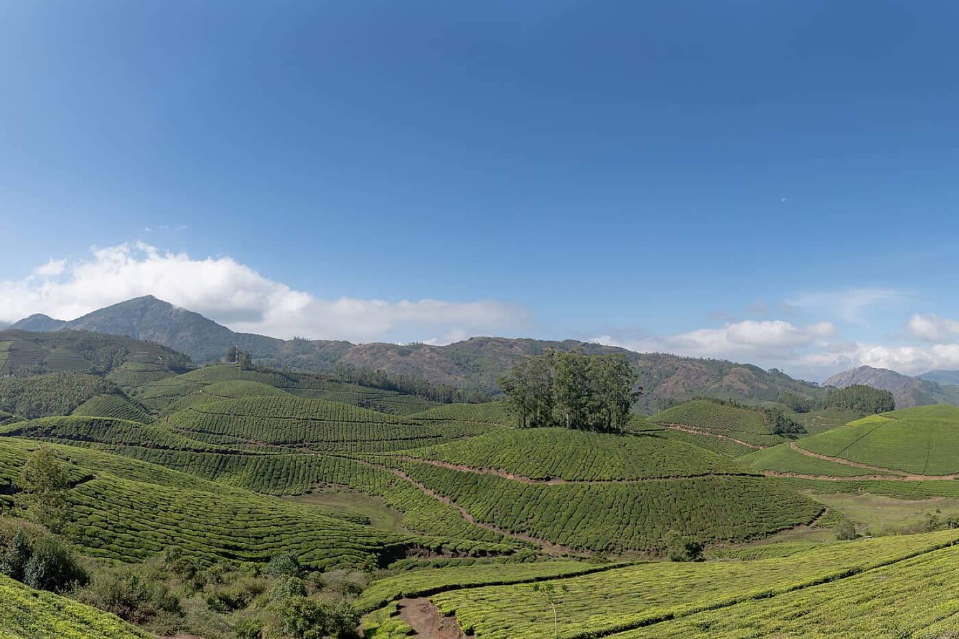 Kerala Backwaters & Munnar — Munnar, Kerala