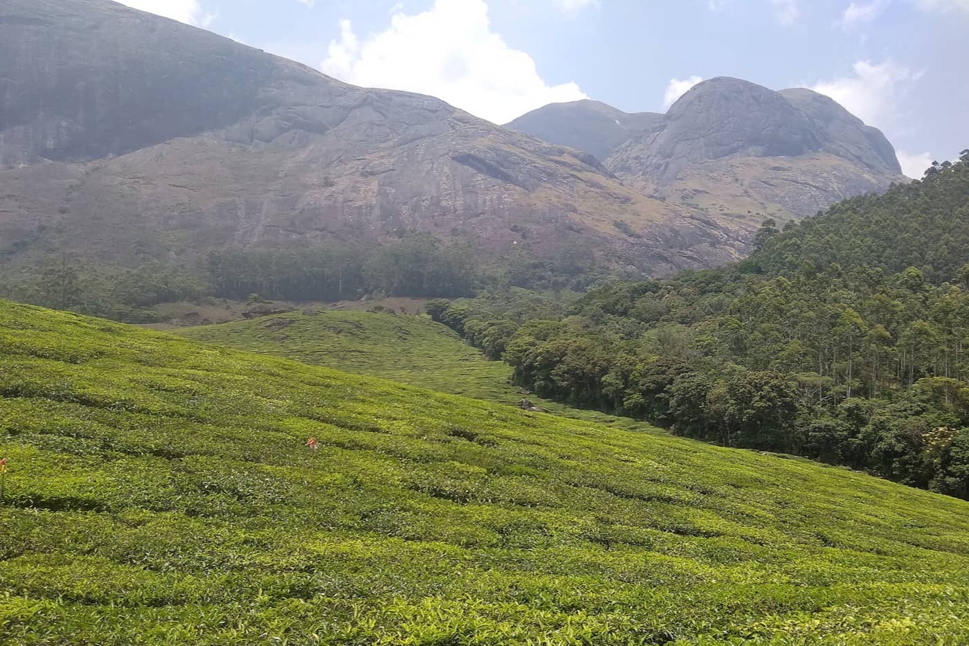 Kerala Backwaters & Munnar — Munnar, Kerala