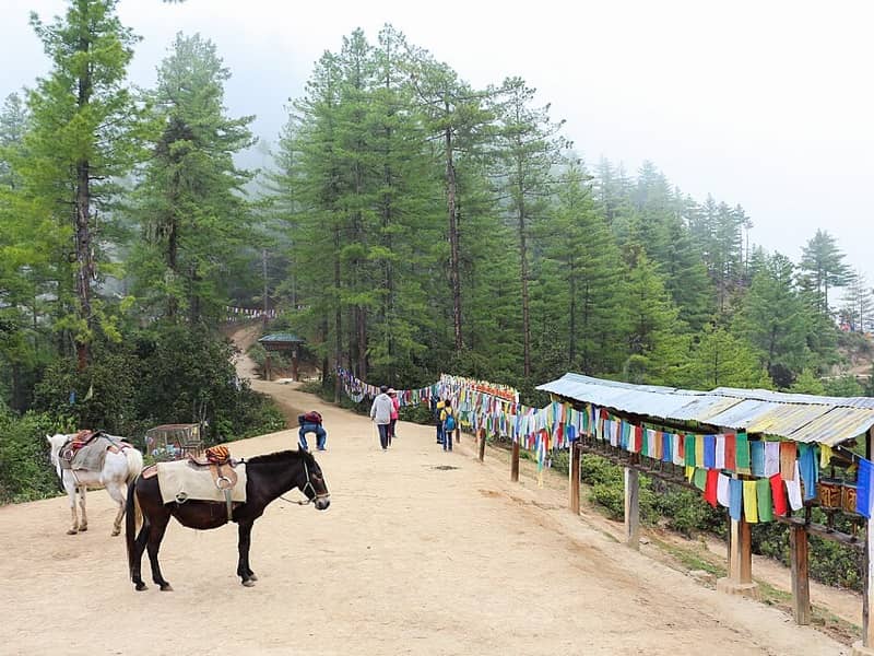 Bhutan Druk Path Trek, Bhutan — Thimphu & Paro