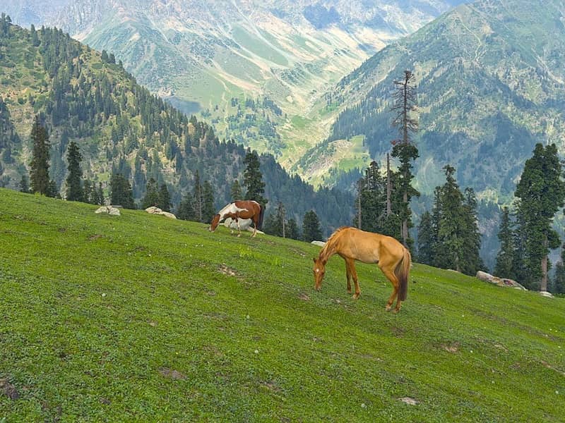 Kashmir Great Lakes Trek, Srinagar & Kashmir