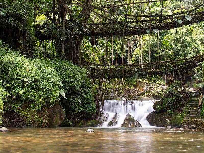 Meghalaya Caves & Living Root Bridges, Meghalaya