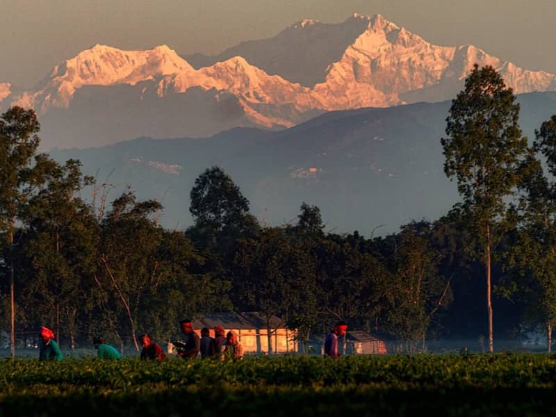 Sikkim & Darjeeling Explorer, Gangtok & East Sikkim
