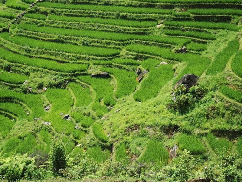 Vietnam North Loop, Hanoi & Ha Long Bay