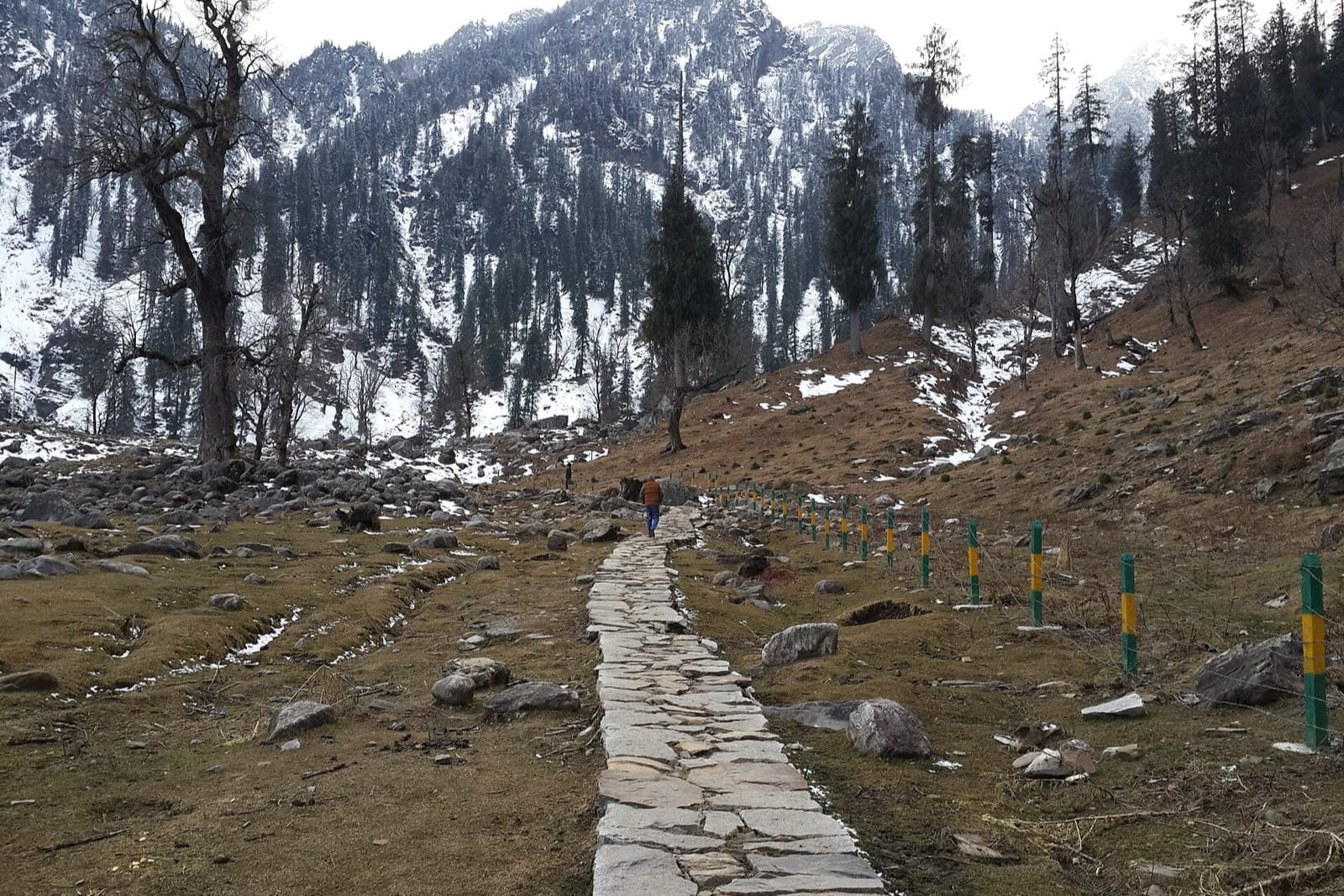 A footpath traversing a high Himalayan slope