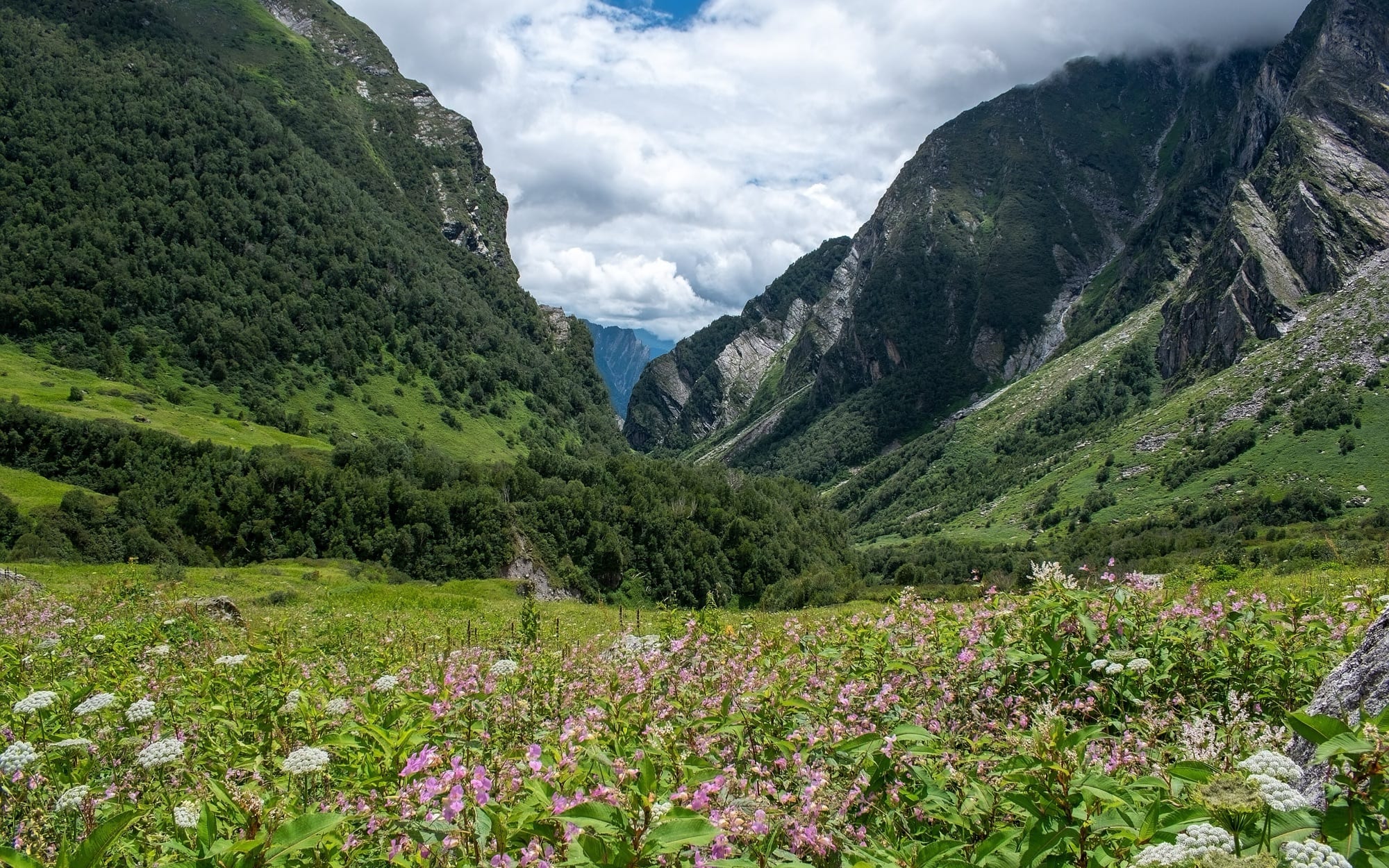 Valley of Flowers Trek, Rishikesh