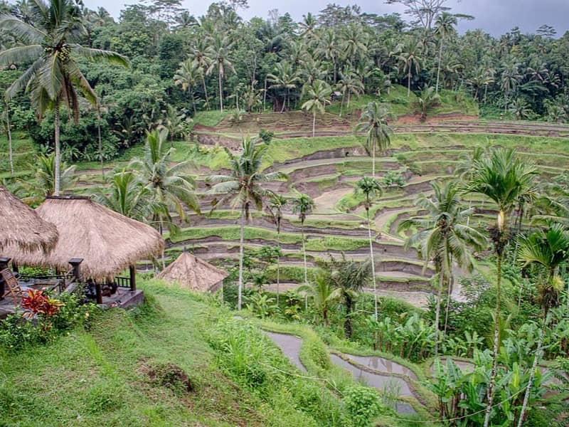 Bali, Bali