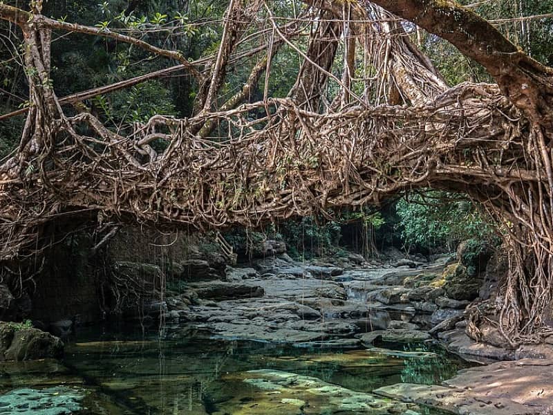Meghalaya, Meghalaya