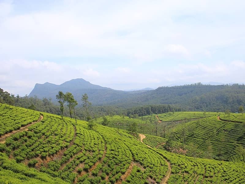 Sri Lanka, Central & Southern Province