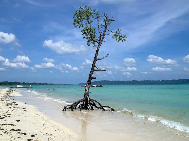 Andaman Dive Week, Andaman Islands