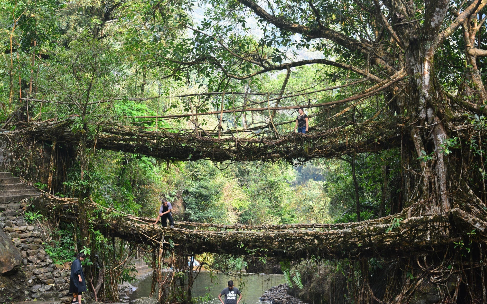 Meghalaya Caves & Living Root Bridges — Meghalaya, Meghalaya